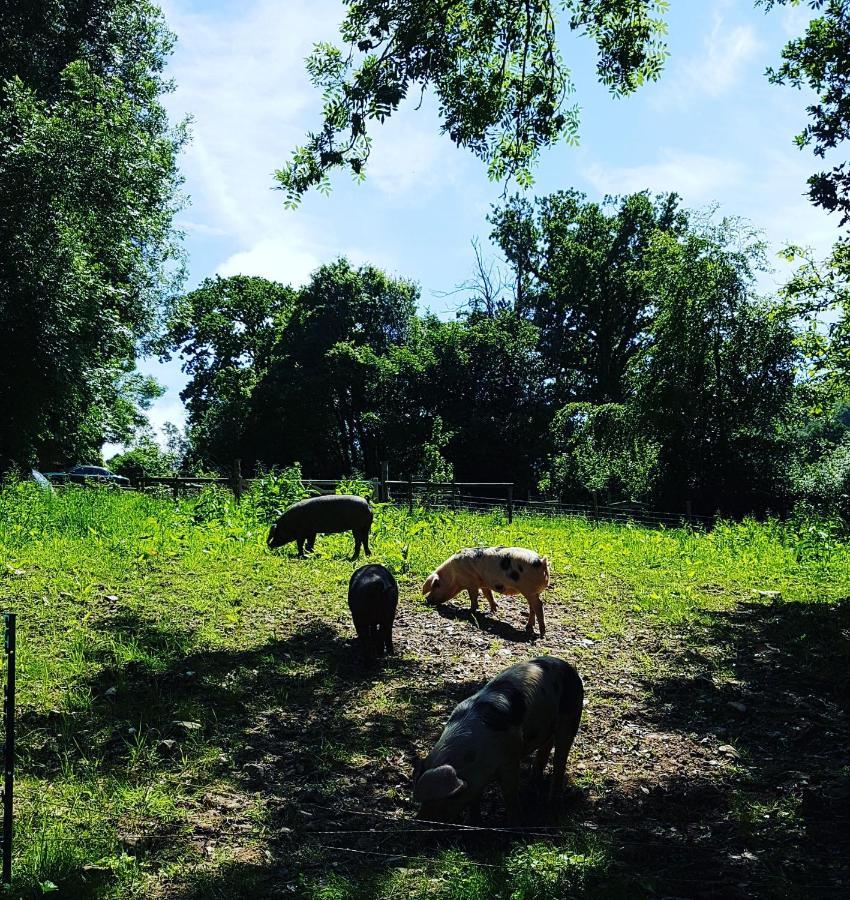 アクスミンスター Meadow Barnヴィラ エクステリア 写真